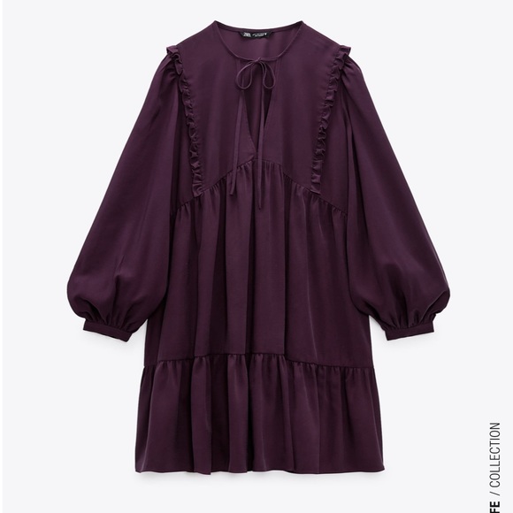 Zara Pleated Dress - Picture 7 of 10